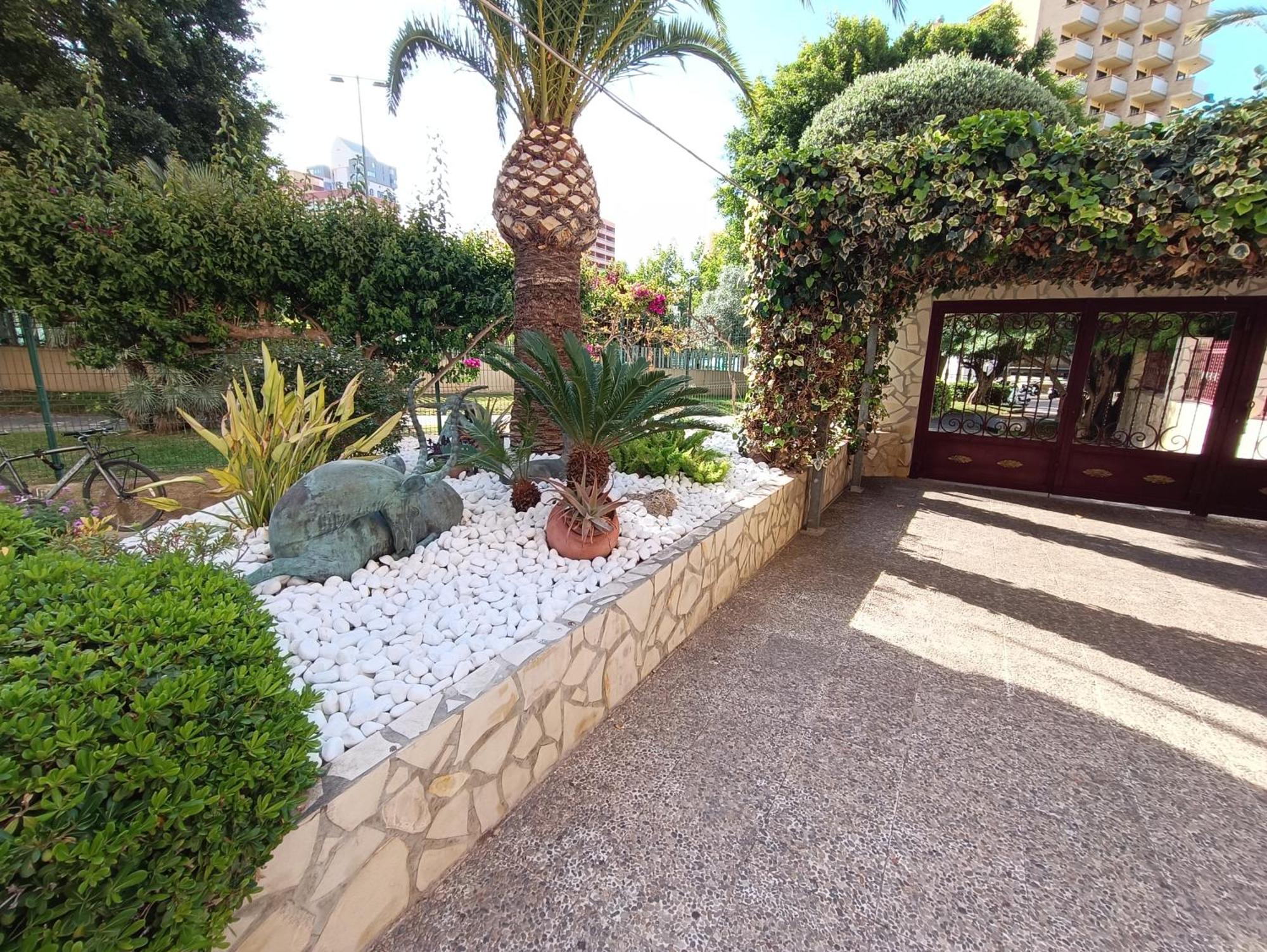 Appartement Mobydick 5 à Benidorm Extérieur photo